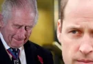 Breaking News: At 75, King Charles Has Admitted Everything—William Is the Son of…