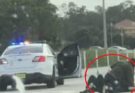 Passerby Who Killed Man Attacking Cop Learns His Fate…See more