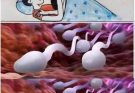 Many know! Studies reveal that swallowing your partner’s semen…