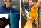 HT10. If your dog is sniffing your genital area, it means you have… s2