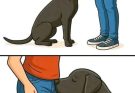 Did you know that if a dog smells your parts it’s po…See more