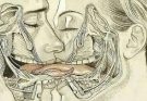 WHAT HAPPENS WHEN WE TONGUE KISS…See more