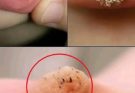 These are the first signs of an enf…See more