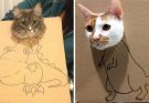 People Are Using Cardboard Boxes To Turn Their Pets Into Dinosaurs, And The Results Are Hilarious